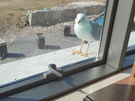 考爾陶爾大米拉酒店優惠