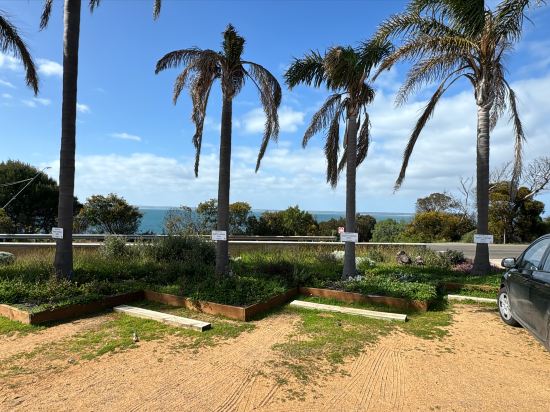 袋鼠島海景汽車酒店優惠