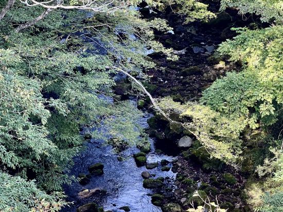 箱根町仙石原虎乃湯優惠