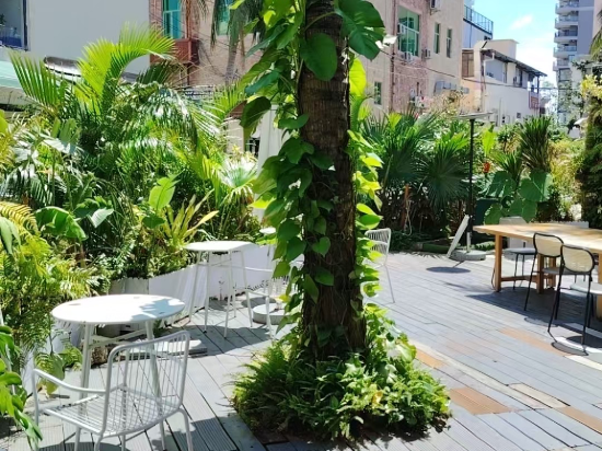 三亞背包客國際青年旅舍優惠