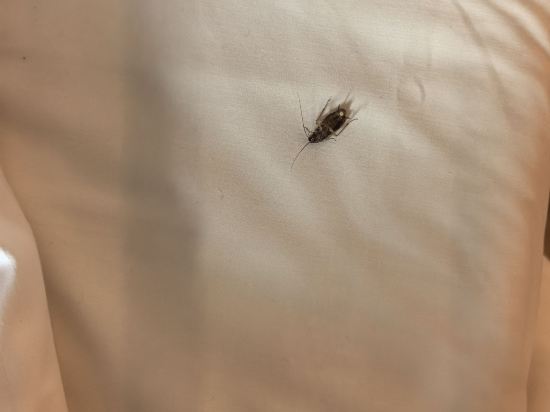 香港帝國酒店優惠