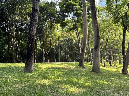 深圳福田香格里拉大酒店優惠