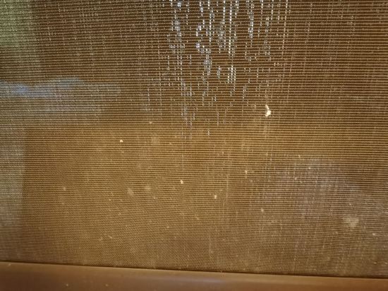 香港九龍東皇冠假日酒店優惠