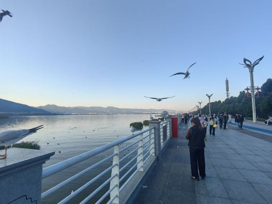 昆明華邑酒店優惠