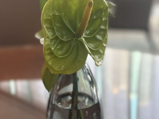 香港嘉里酒店優惠