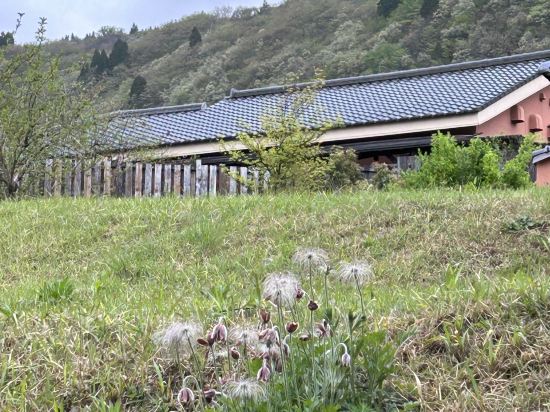 レゾネイトクラブくじゅう クーポン