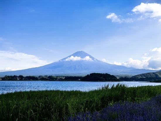 東橫INN 新富士站南口優惠