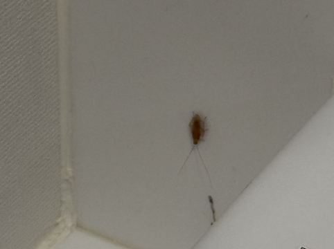 ホテルリソルトリニティ那覇 クーポン