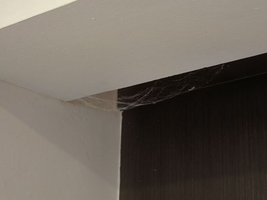 居鑾阿尼卡酒店優惠