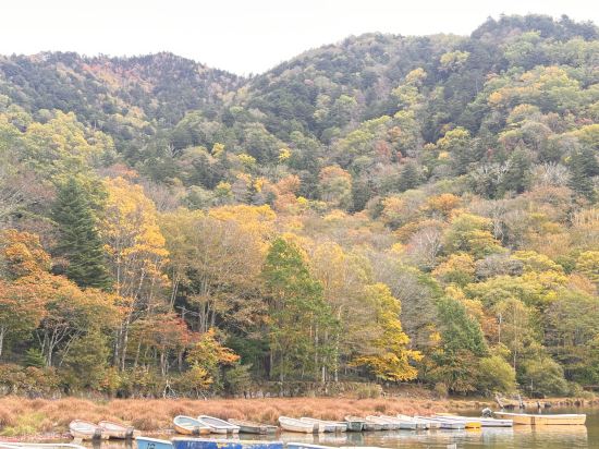 丸沼温泉環湖荘 クーポン