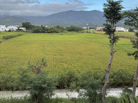 台東樂樂日暉溫泉飯店優惠