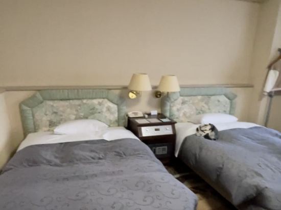 NASPA新大谷旅館優惠