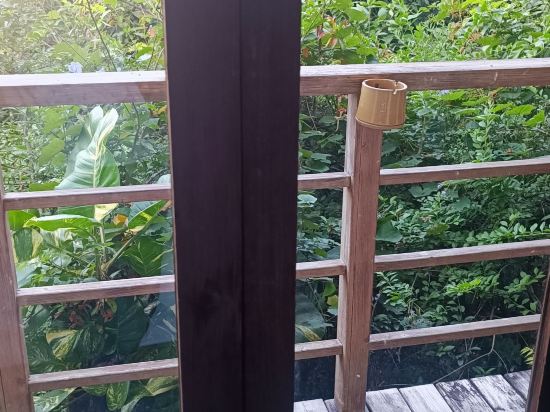 深圳青青世界飯店優惠