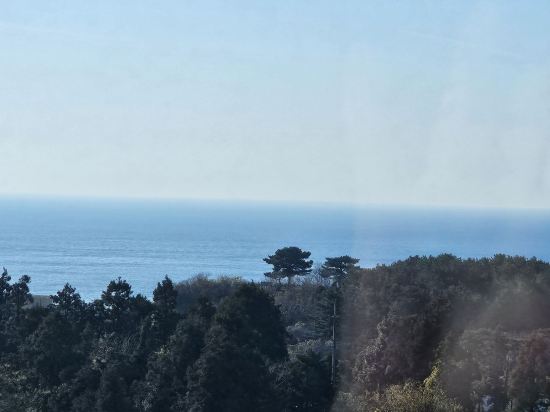 베니키아 중문호텔 쿠폰