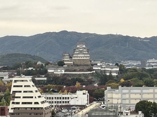 姬路大和ROYNET飯店優惠