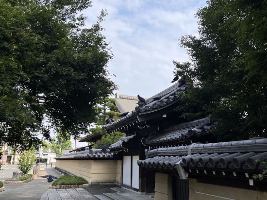 プレジデントホテル博多 クーポン