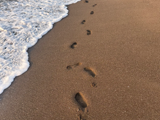 熱川大和館 クーポン