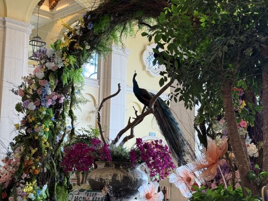 美林湖温泉大酒店優惠