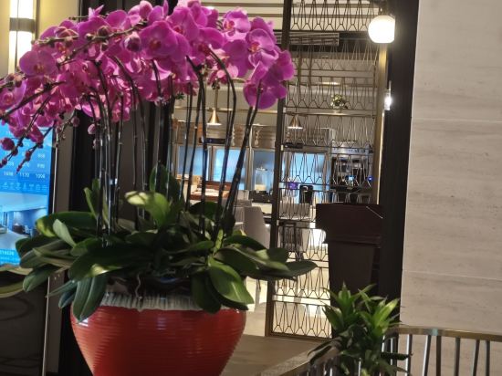 帝璟雅緻飯店（上海韓國街萬象城店）優惠