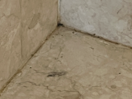 大阿斯頓格羅夫套房飯店優惠