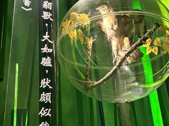 成都鯉伴公寓（文殊院店）優惠