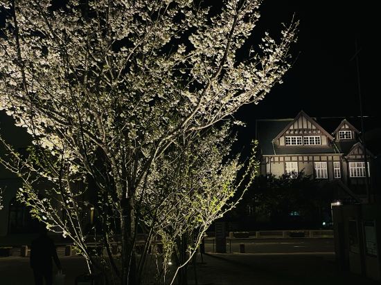 プレミアホテル門司港 クーポン