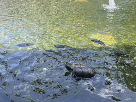 登嘉樓丹絨佳拉月之影度假村- 全球奢華精品酒店優惠