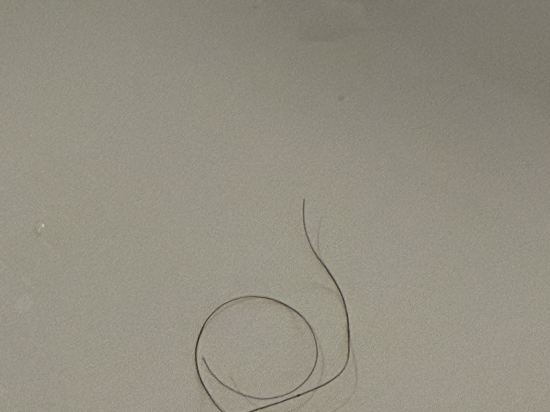 시그니엘 부산 쿠폰