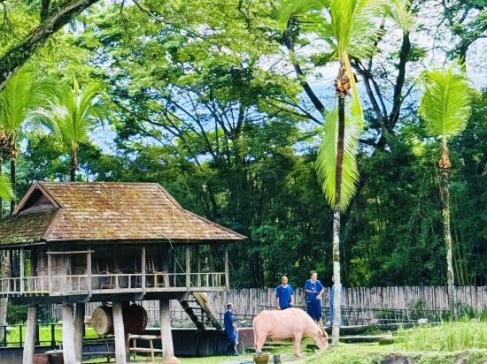 清邁四季度假酒店優惠