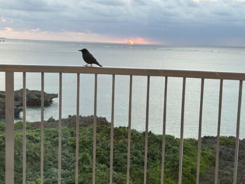 ウェルネスヴィラ ブリッサ クーポン