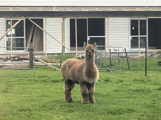 羅託路亞世外桃源旅舍優惠