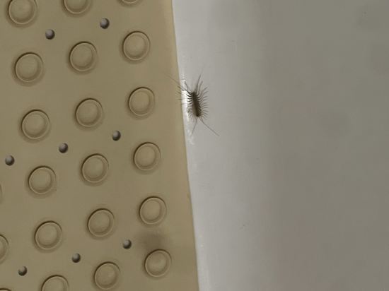 吉林紫光苑華美達酒店優惠