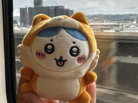 東横INN郡山 クーポン