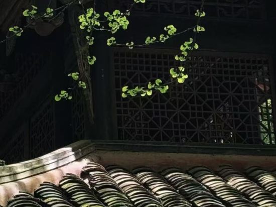 宜尚飯店（成都都江堰景區南橋店）優惠