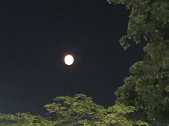 珠海璃上飯店（情侶路海濱泳場店）優惠