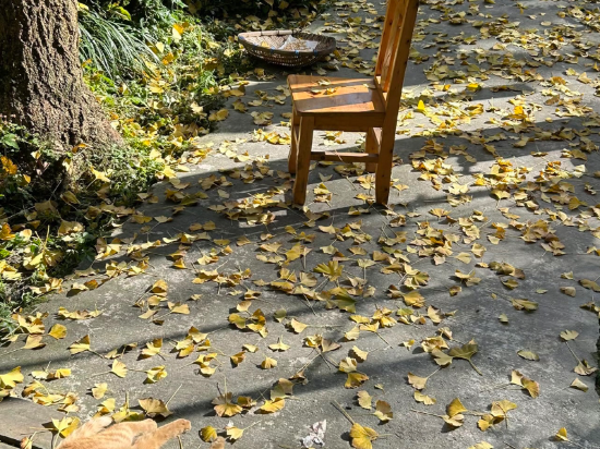 利閤家美飯店（北京西站北廣場店）優惠