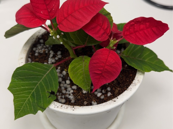 相鐵FRESA INN 名古屋站新幹線口優惠