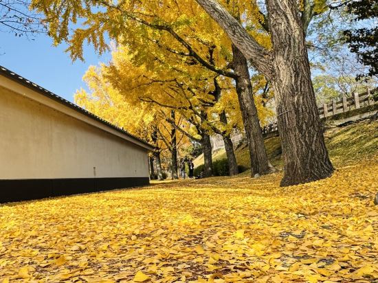 ホテルユニゾ博多駅博多口 クーポン