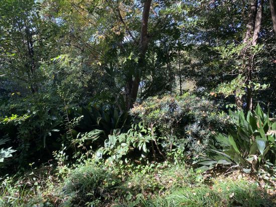 上海西郊賓館優惠