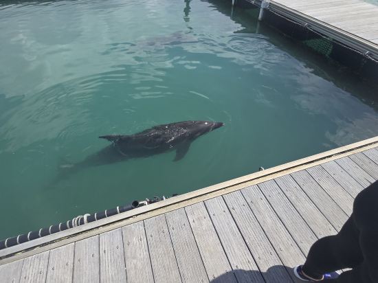 マリンピアザオキナワ クーポン