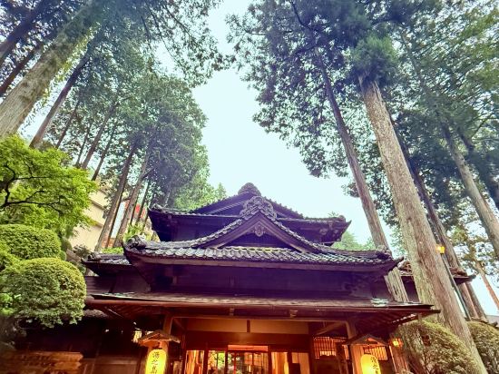 下呂溫泉 湯之島館優惠