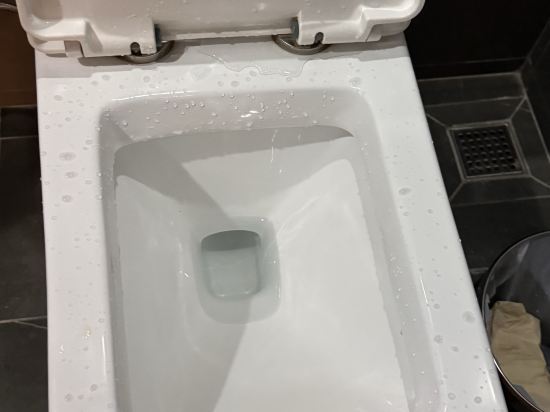 開平青楓酒店公寓優惠