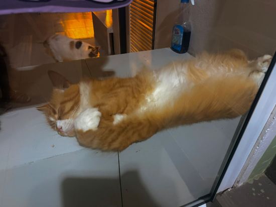 選擇你·設計師飯店優惠