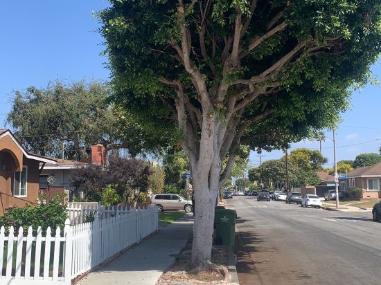 桃園蓮園商務旅館優惠