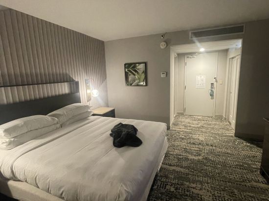 費拉安那翰飯店 - 逸林飯店優惠