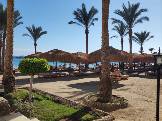 ZYA赫爾格達雷吉娜水上公園度假村優惠