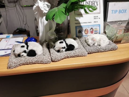 NK 2號旅館優惠