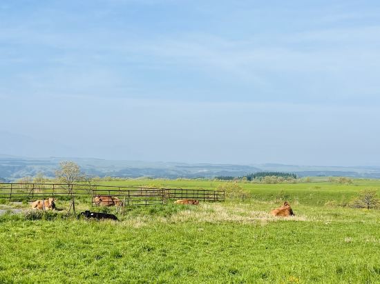 久住高原小屋飯店優惠