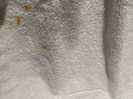 震大金鬱金香飯店優惠