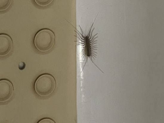 吉林紫光苑華美達酒店優惠